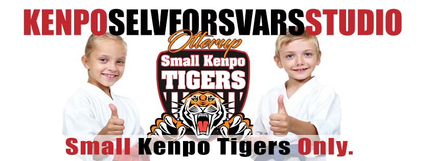 Small Kenpo Tigers | Dragt