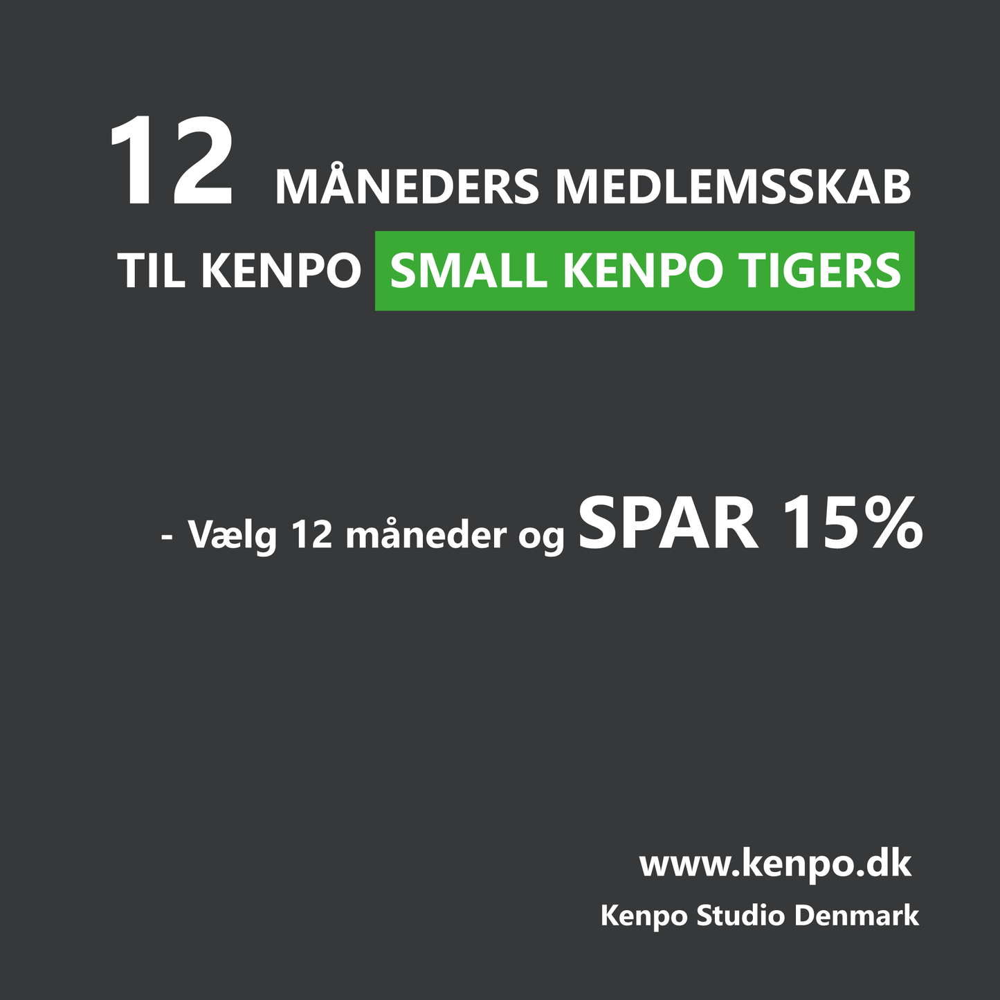Small Kenpo Tigers - 12 Måneders Kontingent
