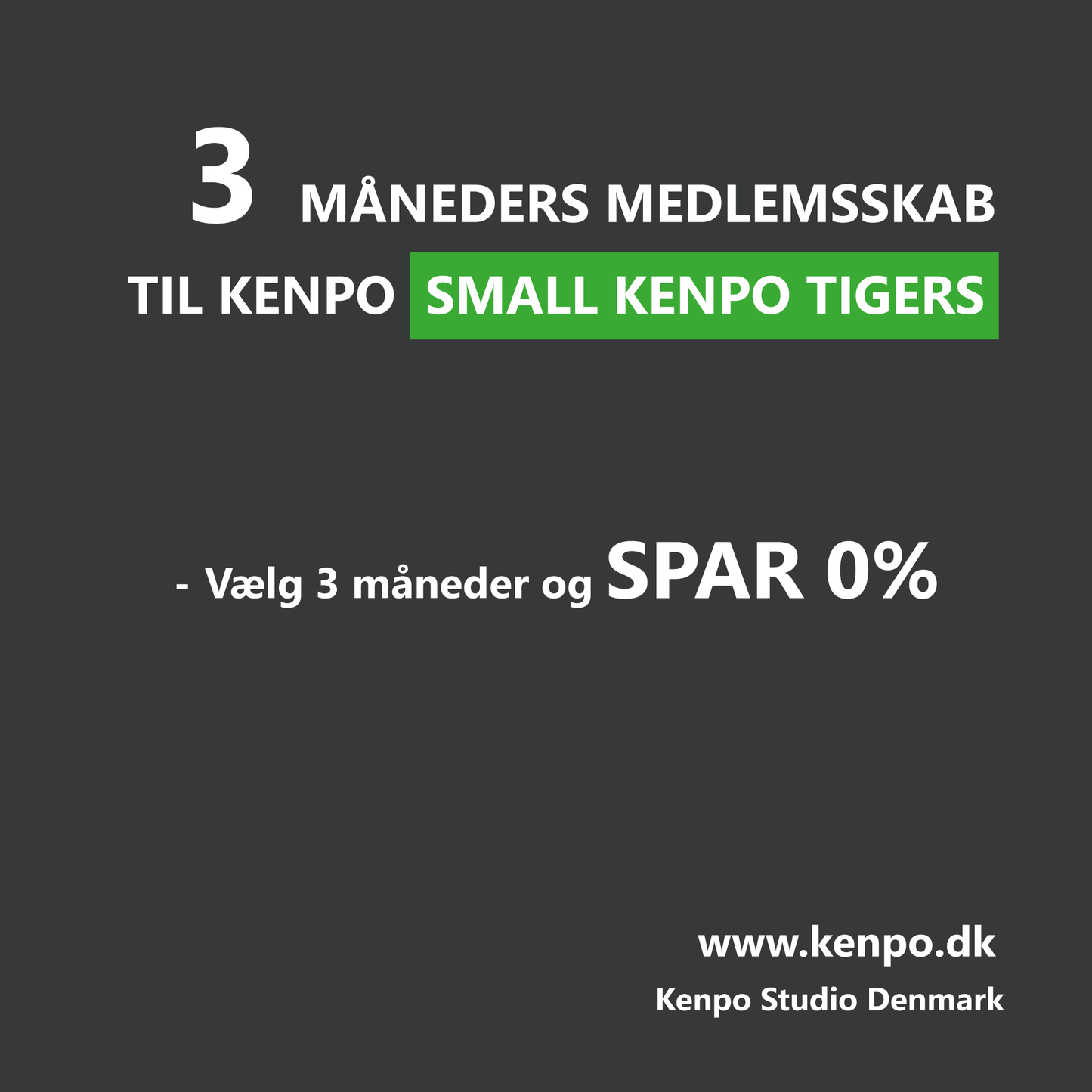 Small Kenpo Tigers - 3 måneders Kontingent