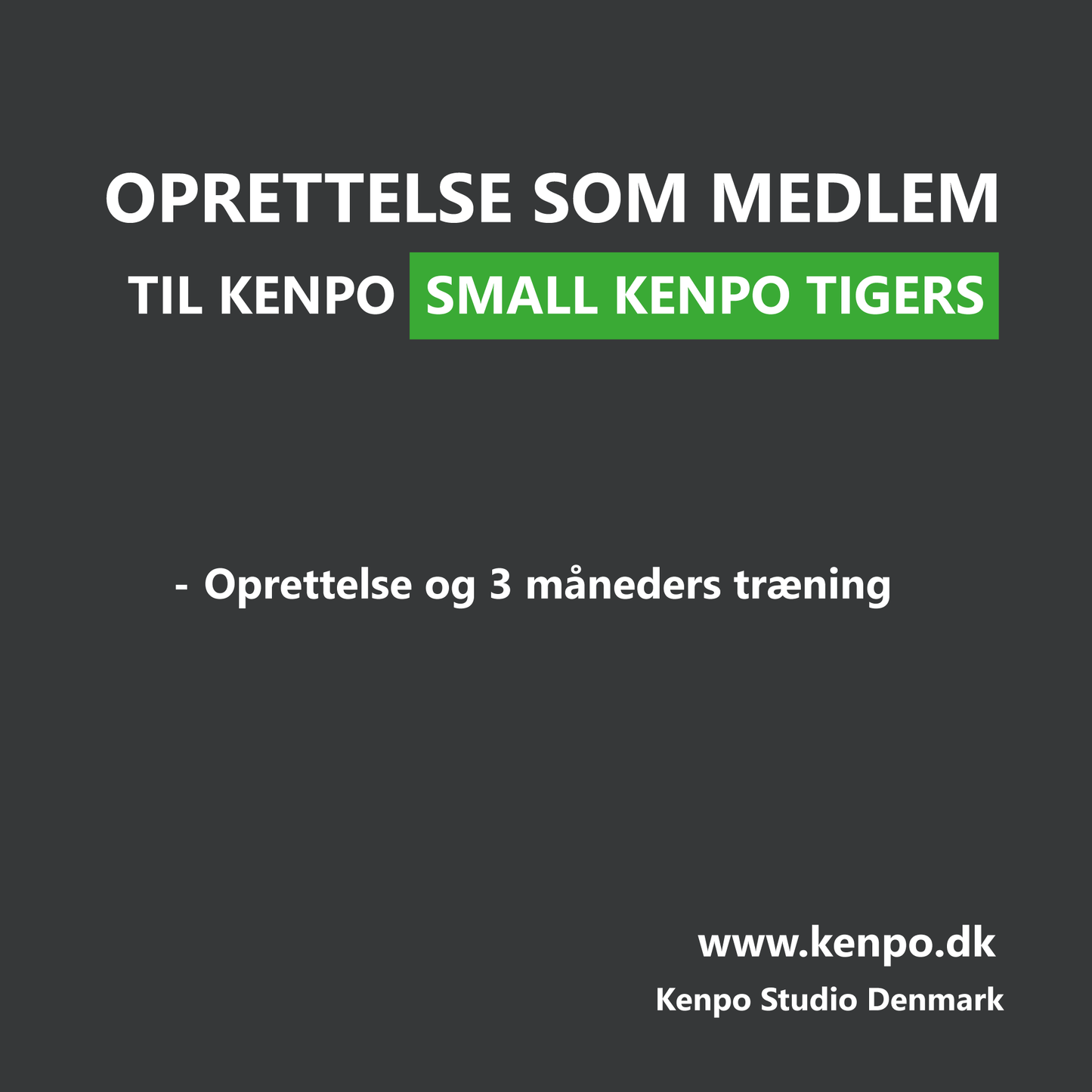 Small Kenpo Tigers - Oprettelse+ 3 mdr. Kontingent