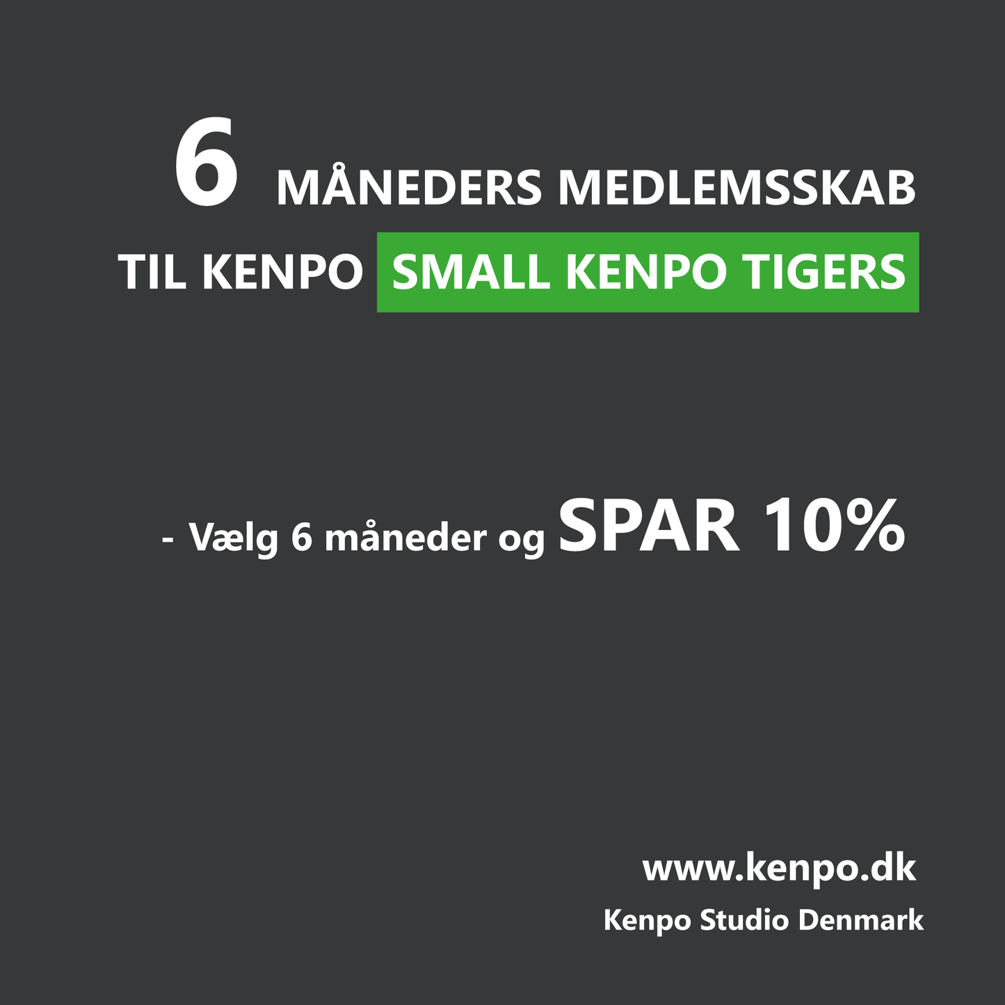 Small Kenpo Tigers - 6 Måneders Kontingent